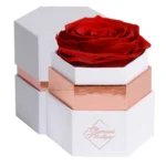 Elegant heart-shaped black box filled with 50 luxurious preserved red roses on a white background