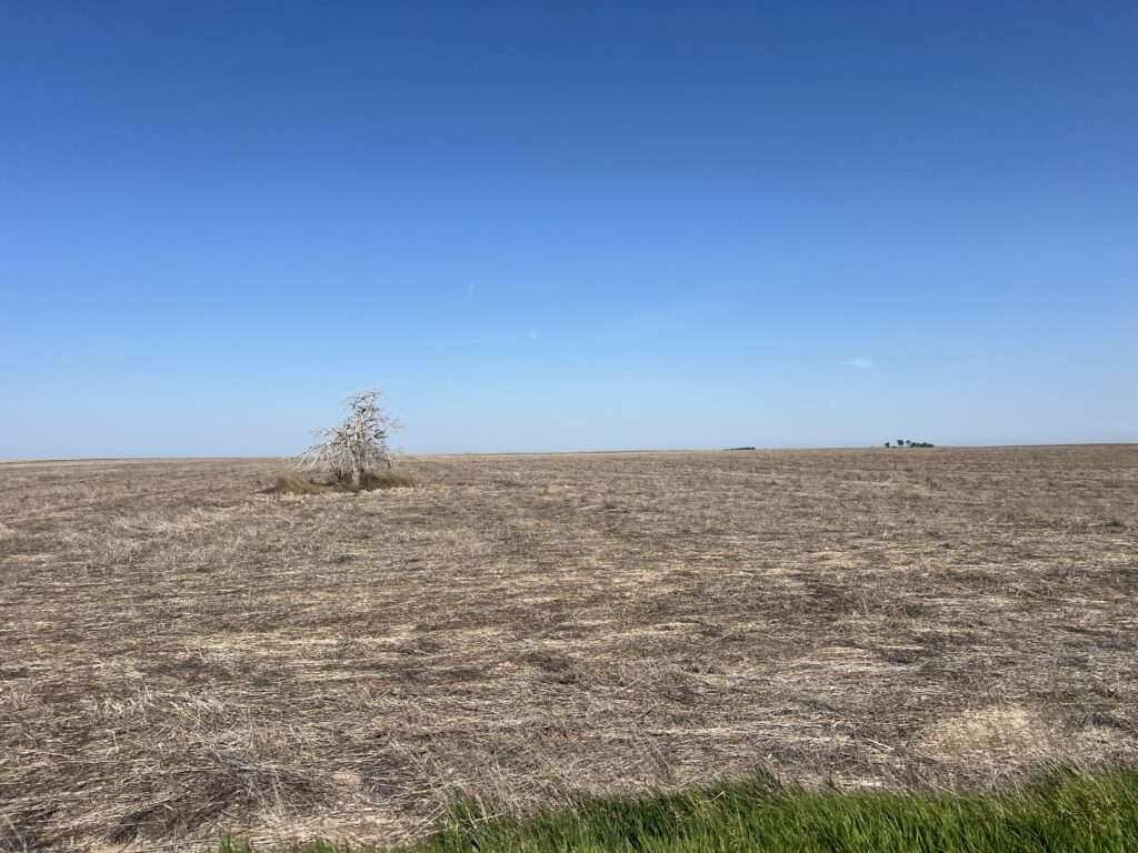 Expansive unplowed field in Kansas, showing rich soil ready for planting under a clear sky. If you want it more poetic or casual, just let me know