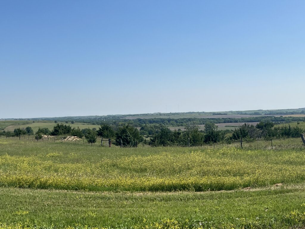 Here’s a crisp title that works well with those alt texts and captures the feel of Kansas scenery