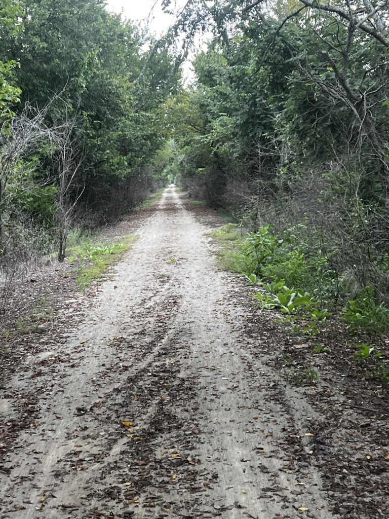 Cyclist riding along the paved and crushed limestone Prairie Spirit Trail surrounded by lush green trees on a sunny day