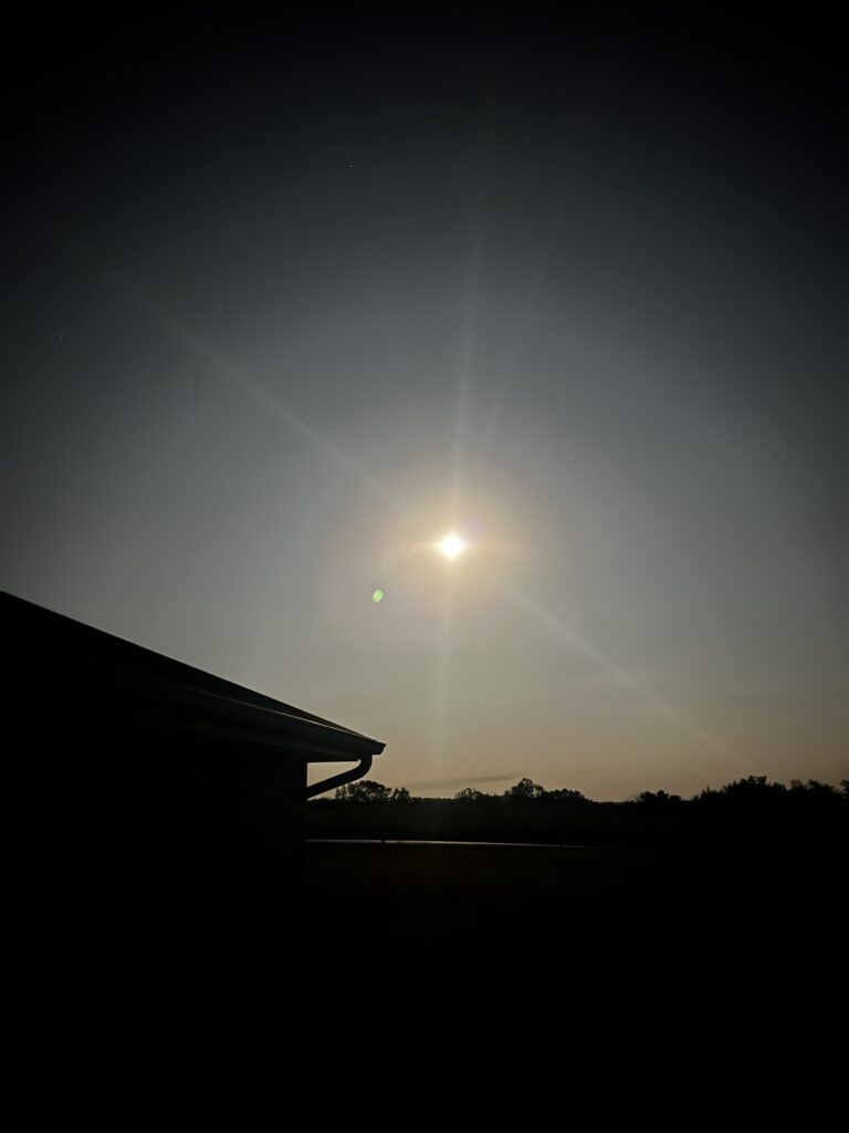 September Corn Moon viewed from a backyard, glowing brightly in the evening sky. #shaunenation"