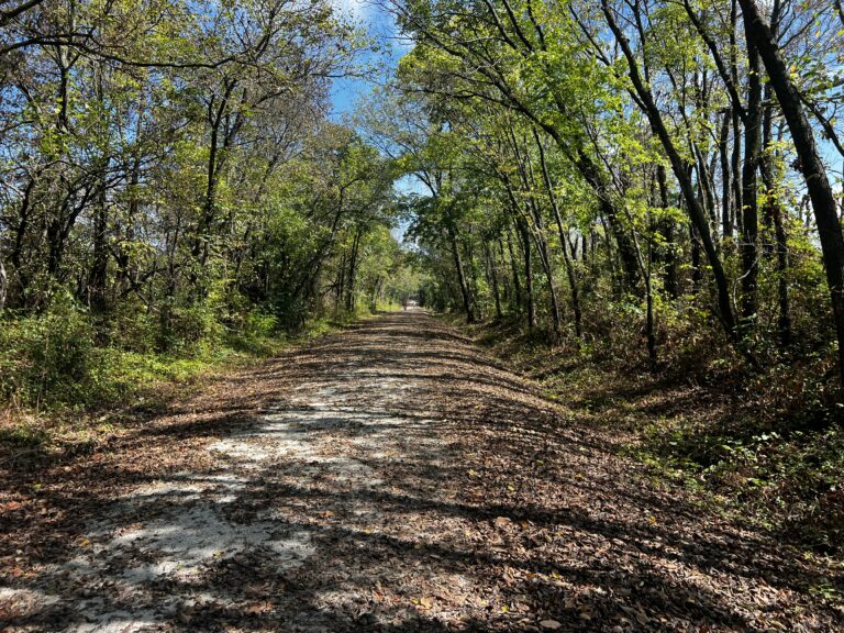 Trail on the Katy Trail shaded by trees and thousands of black walnuts covering the path, part of the ShauneNation ride.