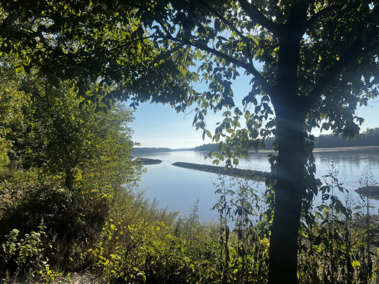 View of the Missouri River through tree branches with rocky levees along the riverbank, east of Portland Trailhead