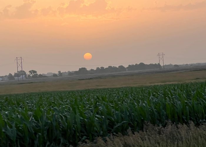 Sunrise over waist-high Kansas cornfields on the final day of Bike Across Kansas, symbolizing the road ahead.